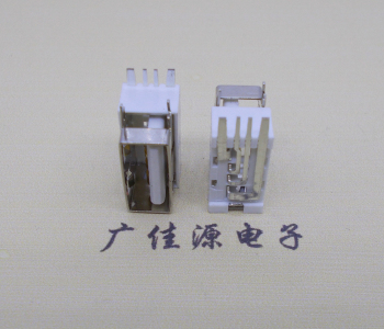 奉贤USB侧立式短体10.0尺寸 侧插加宽脚5A大电流插座