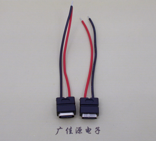 奉贤type c2p防水母座焊线式带线注塑成型带接线端子/不带接线端子充电连接器