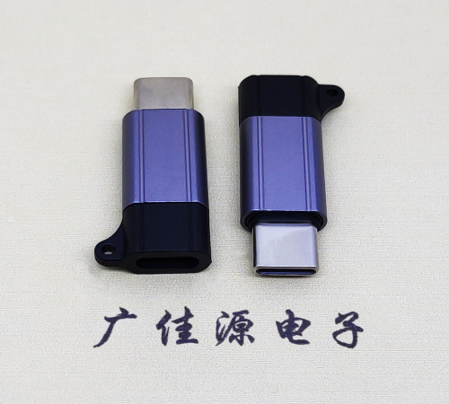 奉贤Type-C母转Type-C公 USB3.1 PD100W快冲接口